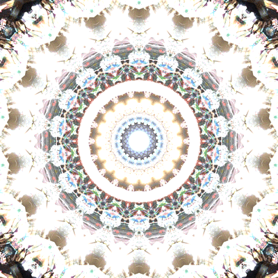 ☯☯