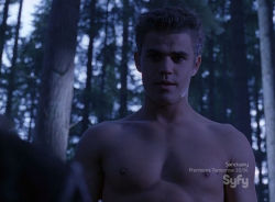 nakedcelebrity:  Paul Wesley sex scene 