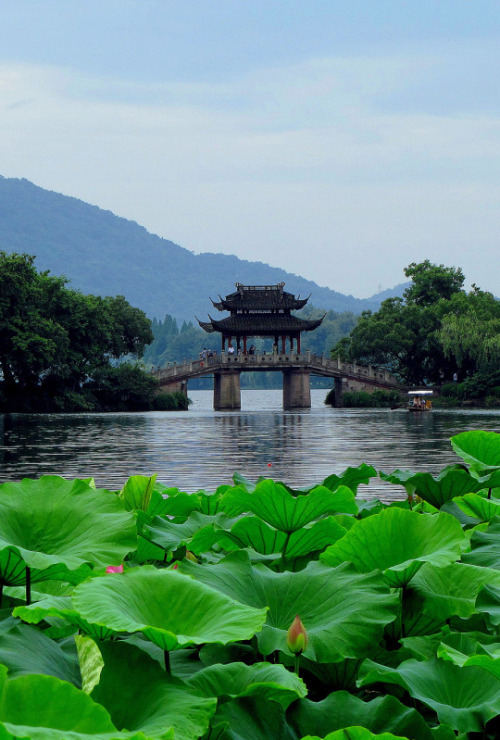 fuckyeahchinesegarden:West lake, Hangzhou, China. 杭州, 西湖. Those very upward eaves are typical design