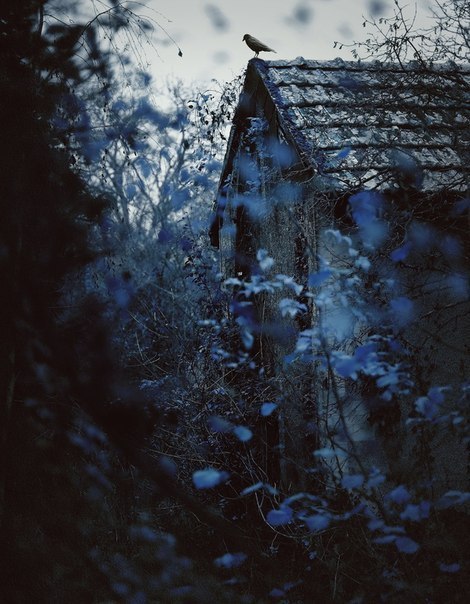 sweetlysurreal:  Voilavala @daily-inspiration.com 