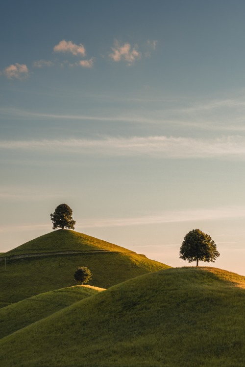 oneshotolive:  [OC] Neuheim, Switzerland (Hobbiton) [4145x6218] 📷: mbgraphx 