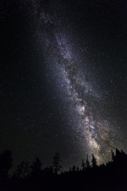  Milky Way | © | AOI 