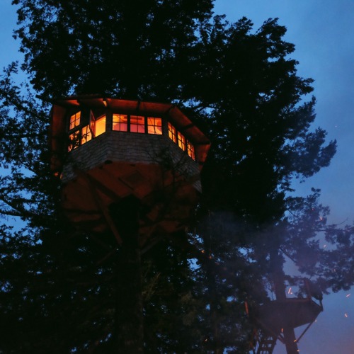 thecindercone:  A view of the octagon from below