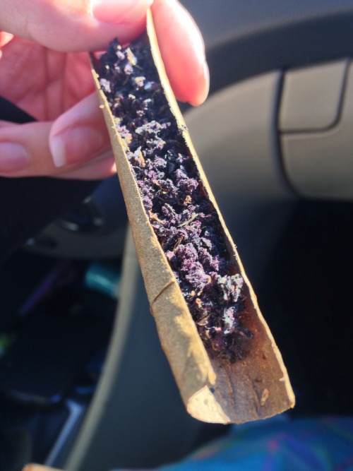 Porn photo onamonopia:Black cherry cheese cake