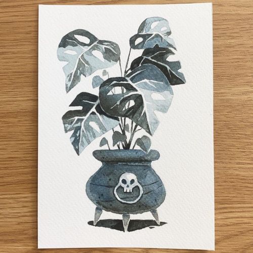 Monstera cauldron ☠️✨ My theme is Halloweeny-witchy-vibes-plants 