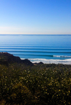 highenoughtoseethesea:    “This was taken on a hike. I crested the hill to find wave after wave lined up to the horizon and instantly regretted telling my mom there were no waves, after she asked if I wanted to bring my suit and board. You never know