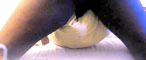 Adult Male Humping