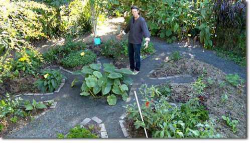 Photo from https://permaculturenews.org/2011/01/02/building-a-mandala-garden/