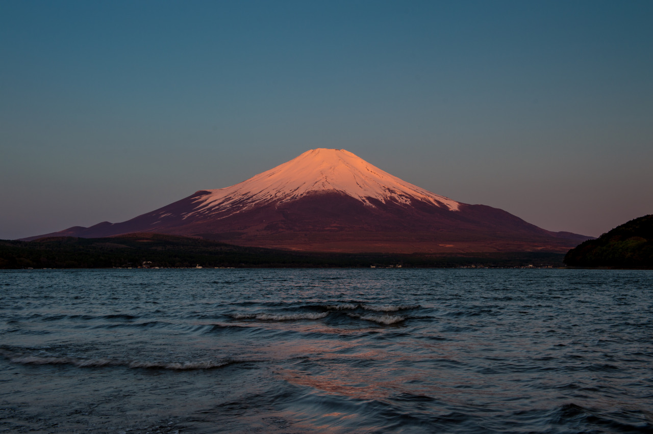 tulipnight:  Fuji  of May thru the Day by shinichiro* on Flickr.