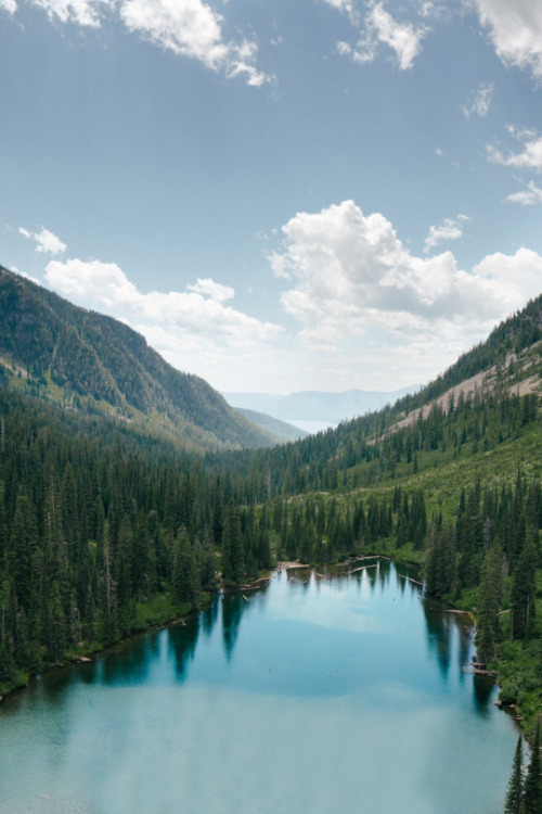 different-landscapes:West Glacier, United States  by Tevin Trinh