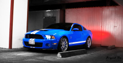 ford-mustang-generation:  Mustang Shelby