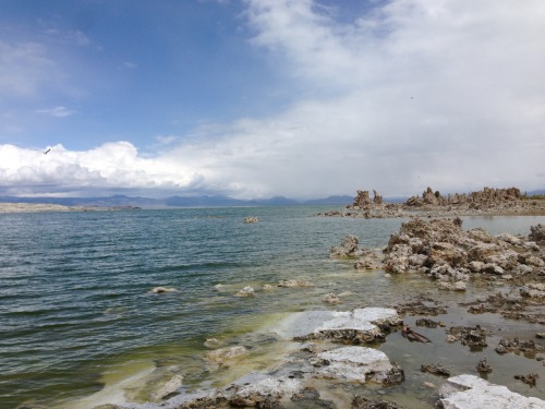 exploratorium:  Mono Lake is an amazing landscape. The lake has no outlets and has been fed for thousands of years by the mineral-rich precipitation runoff of the surrounding mountains, creating salt-rich and alkaline waters.  I recently took a trip