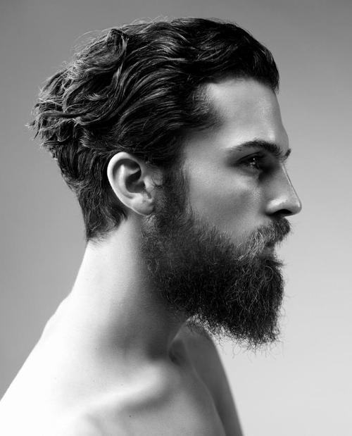 abeautifulindiscretion:  Distinguished Beards