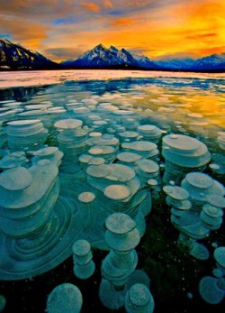 fnibhriain:           Frozen Bubbles, Abraham Lake, Alberta, CanadaBubbles trapped and frozen under a thick layer of ice creating a glass type feel to the frozen lake.Image Credit : Paul Christian Bowman                  