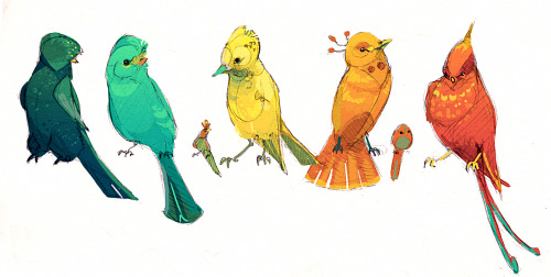 tarafernon:  Here are some birds I just did a quick doodle of and colored. I am really trying to see how I can work color in my line are so this was me trying this out.  