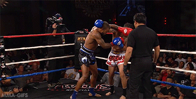 mma-gifs:  Lion Fight 21:Josh Shepard vs. Jose Lopez 