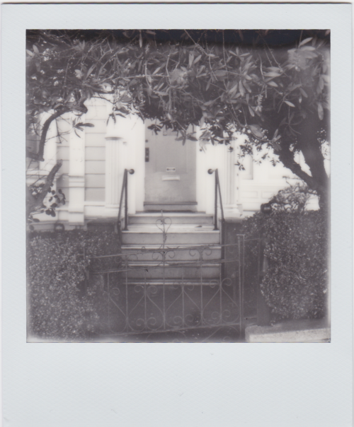 Polaroids from the first SF Instant Photo Walk of the year with Glass Key Photo, San Francisco. We w