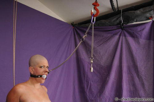 bondage-ponygirls-and-more: What goes better with a huge septum ring than a shaved head? (Molly Wint
