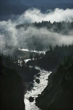 wonderous-world:  Yellowstone National Park, United States by Michael S. Quinton 