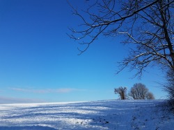ifollowmyfeets:still in love with winter