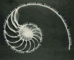 Ride the spiral! Break the cycle!