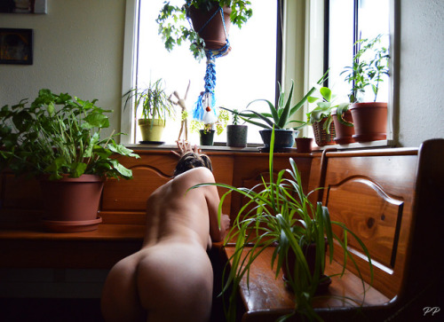 peachypersici: Cut toxic people out of your life and watch how fast your plants grow. (Keep cap