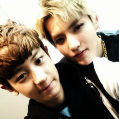 EXO Selcas Icons