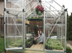 woods-baby:  taking care of my baby plants in our lil greenhouse in the yard