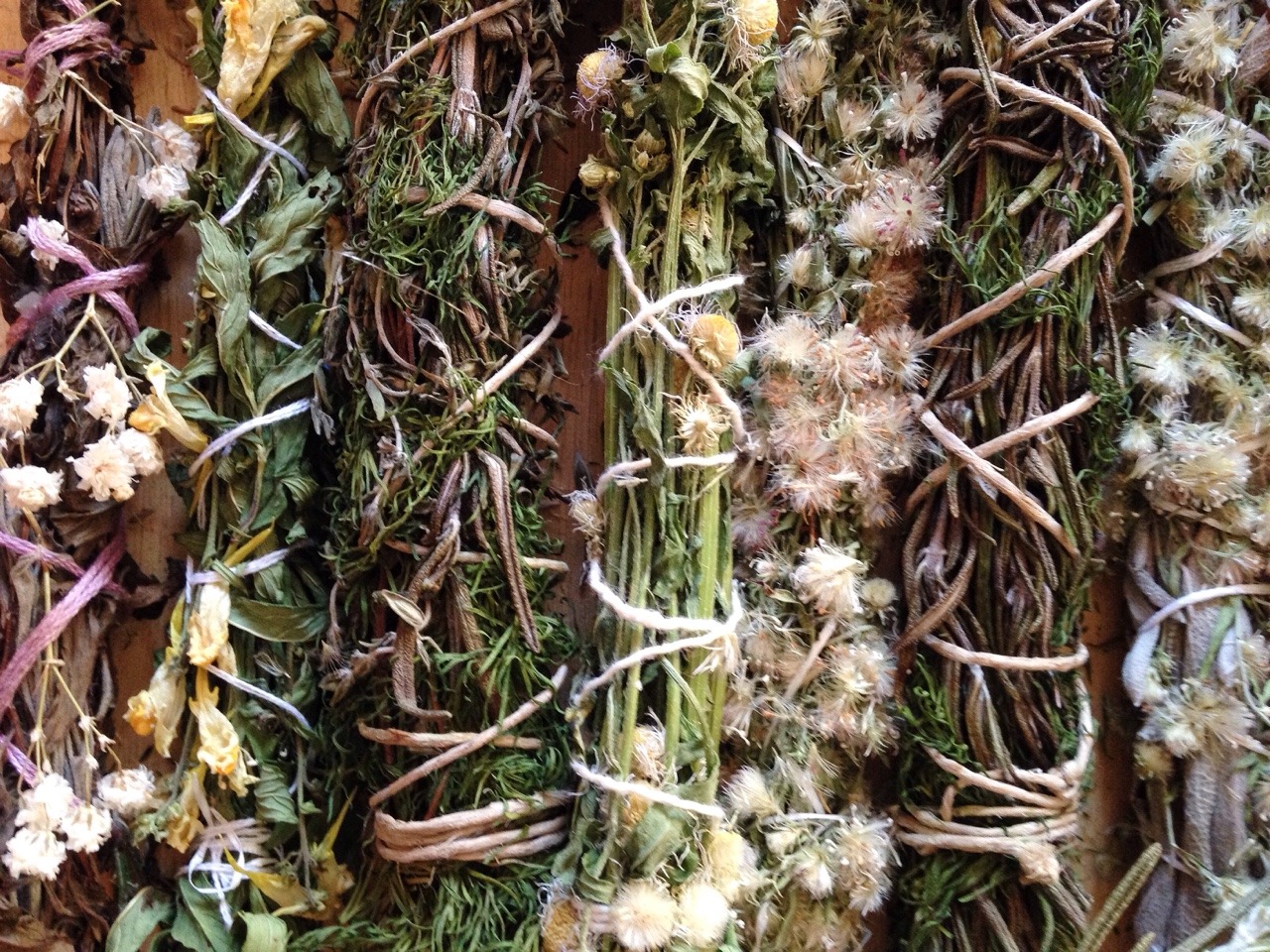 floralwaterwitch:Some of the herbal bundles I’ve crafted, I’ve been saving a