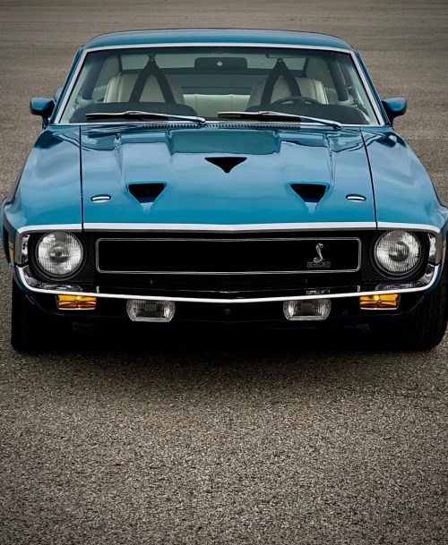 utwo: 1969 Shelby GT500’s © respecyourelders 