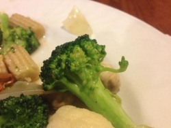 shitshilarious:  My relationship with broccoli 