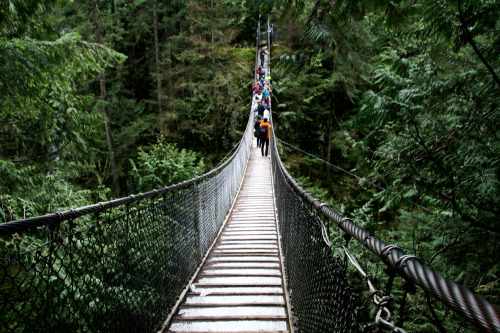 Lynn Canyon | 2016