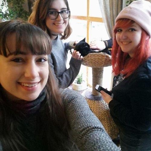 Cat cafe with @katie.melly1 and @winterxanne15 #youandmeow #catcafehttps://www.instagram.com/p/B4r