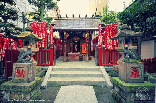 Fox Shinto Shrine Tokyo