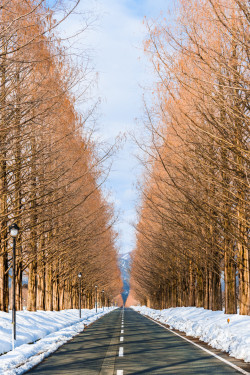 earthlycreations:  Winter Road - Photographer 