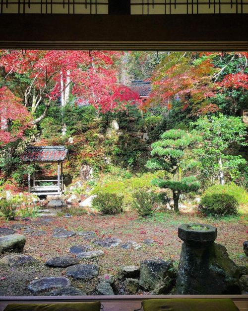 胡宮神社社務所庭園 [ 滋賀県多賀町 ] Konomiya Shrine Garden, Taga, Shiga の写真・記事を更新しました。 ーー紅葉の #湖東三山 巡るなら、ここも。聖徳太子の創祀