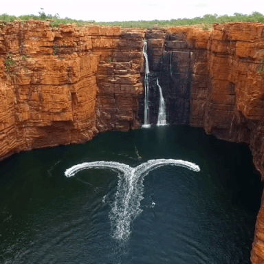 palumbocathy:   