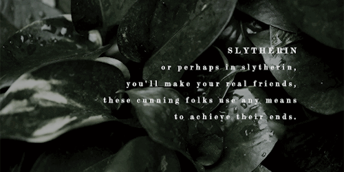 Where Do You Belong?