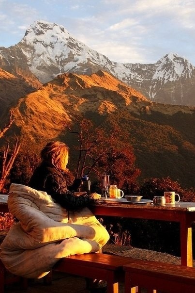 fallairdontcare:  autumn on We Heart It. http://weheartit.com/entry/75763568/via/penny400  …. *buys plane ticket*