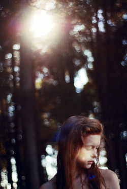 lux-aurea:  hush by schaharazad on Flickr. 