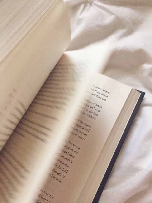 bagfullofbooks:  She gathered books like clouds and words poured down like rain.