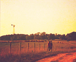 amywiliams:     The Walking Dead meme ⟶ five locations/places [4/5]  ↳Greene Family Farm    