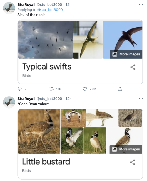 pterygota:thegunlady:  bird twitter is lighting up   my mom said her sister would insult people by calling them bird names such as “yellow-bellied sapsucker” and “red-headed woodpecker” (last one reserved for people with red hair)