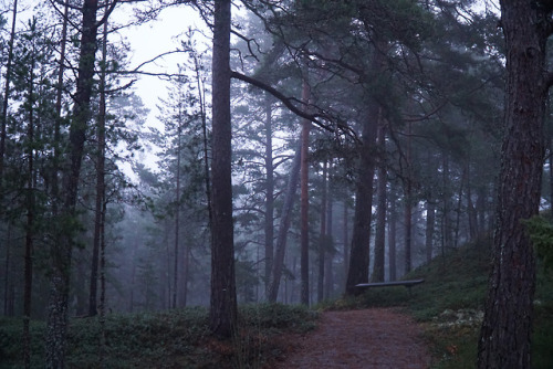 swedishlandscapes: Following the trail over the mountain.