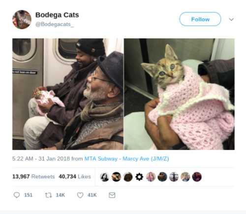 cipheramnesia:  thenatsdorf: The smile on the man’s face says it all. (via bodegacats)  I love them both. 