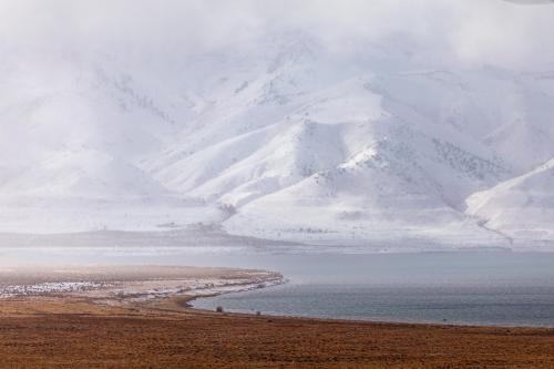 oneshotolive:  Winter, Summer Lake, Oregon