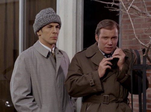 thadman:(via Ways In Which Spock Has Attempted To Disguise His Ears - The Toast)