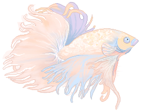 softwaring:Drew a betta fish cause I saw a really pretty one today