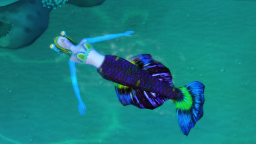 zaneida-and-sims4: Butterfly Fish Mermaid Tail“Island Living” required_tail_21 swatchesfor male and 