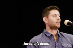 shelovesjared:  winchestrbrothrs:jared and the fans trying to help jensen send his